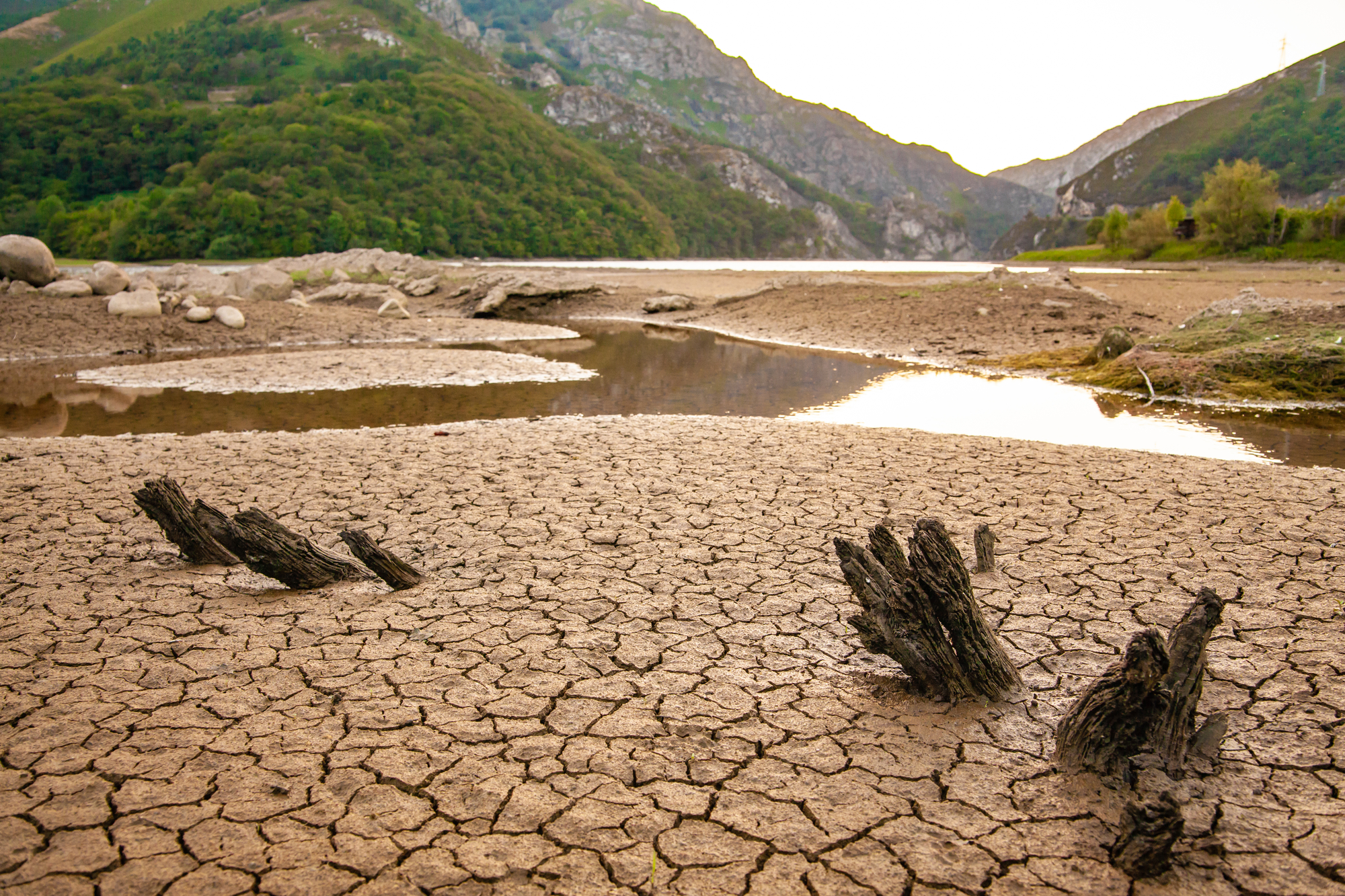 Nature disaster global warming concept dry land texture close up rough pattern no water climate change drought water crisis.jpg