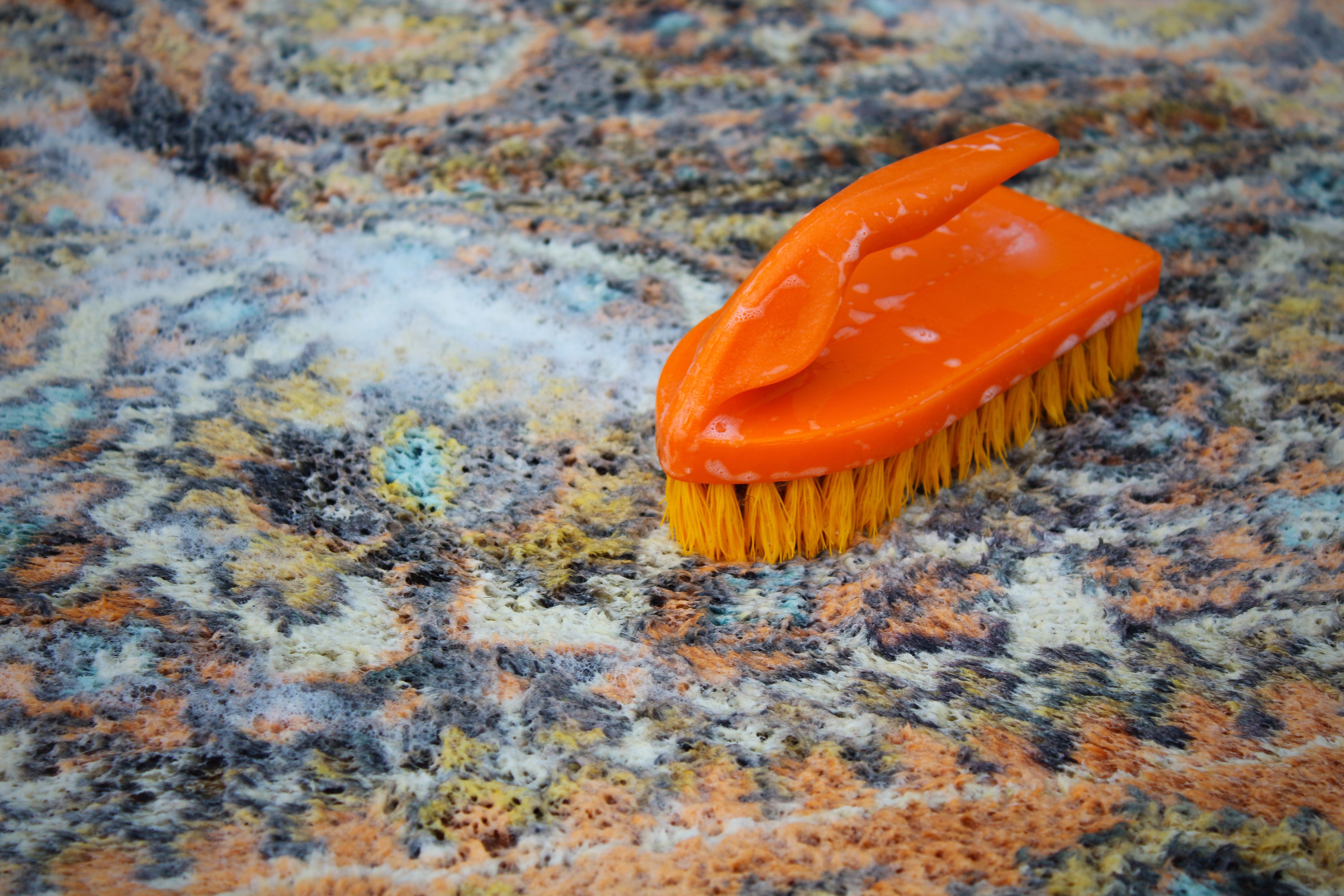 Orange brush cleaning rug with soap.jpg