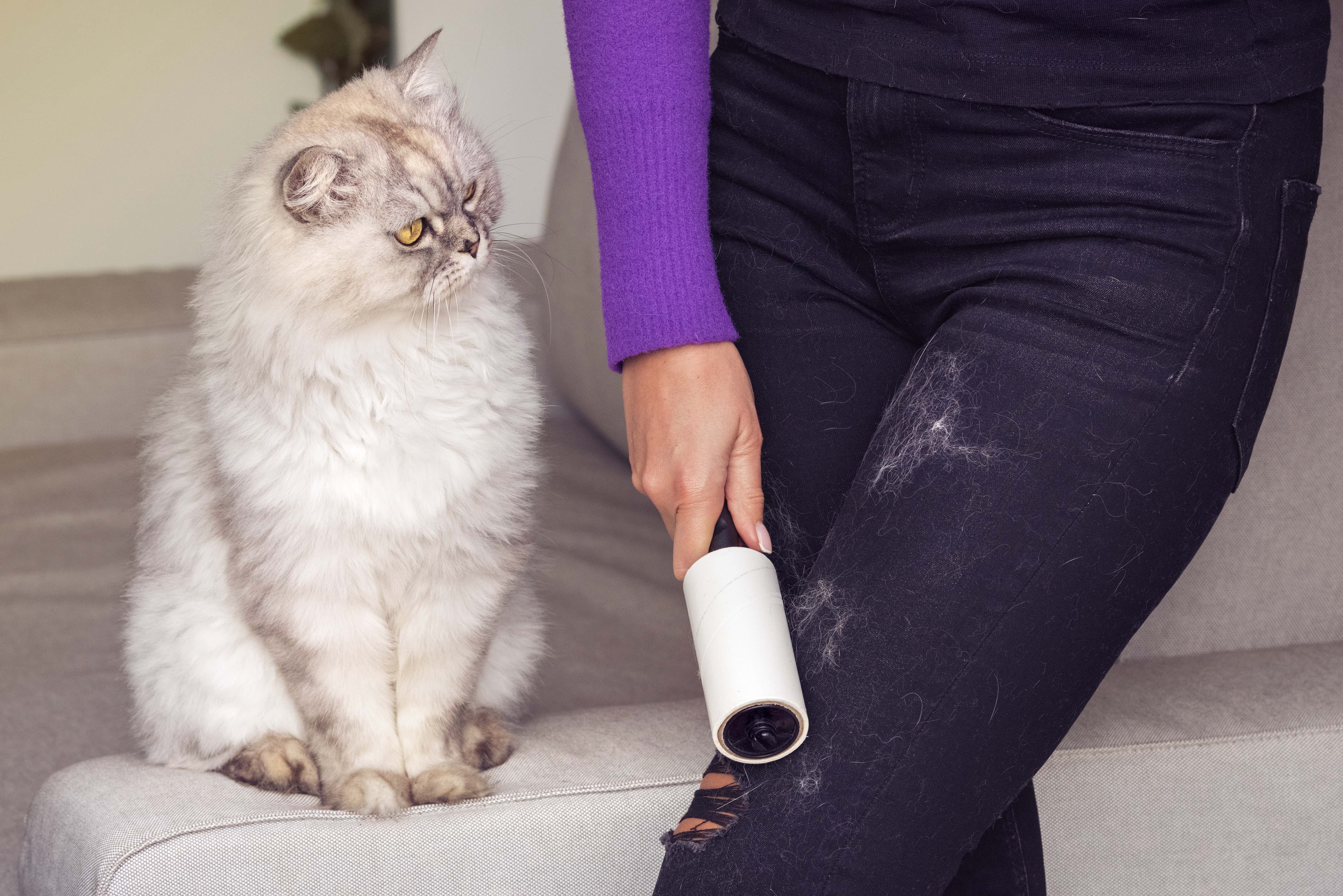 Woman removing pet hair from jeans.jpg